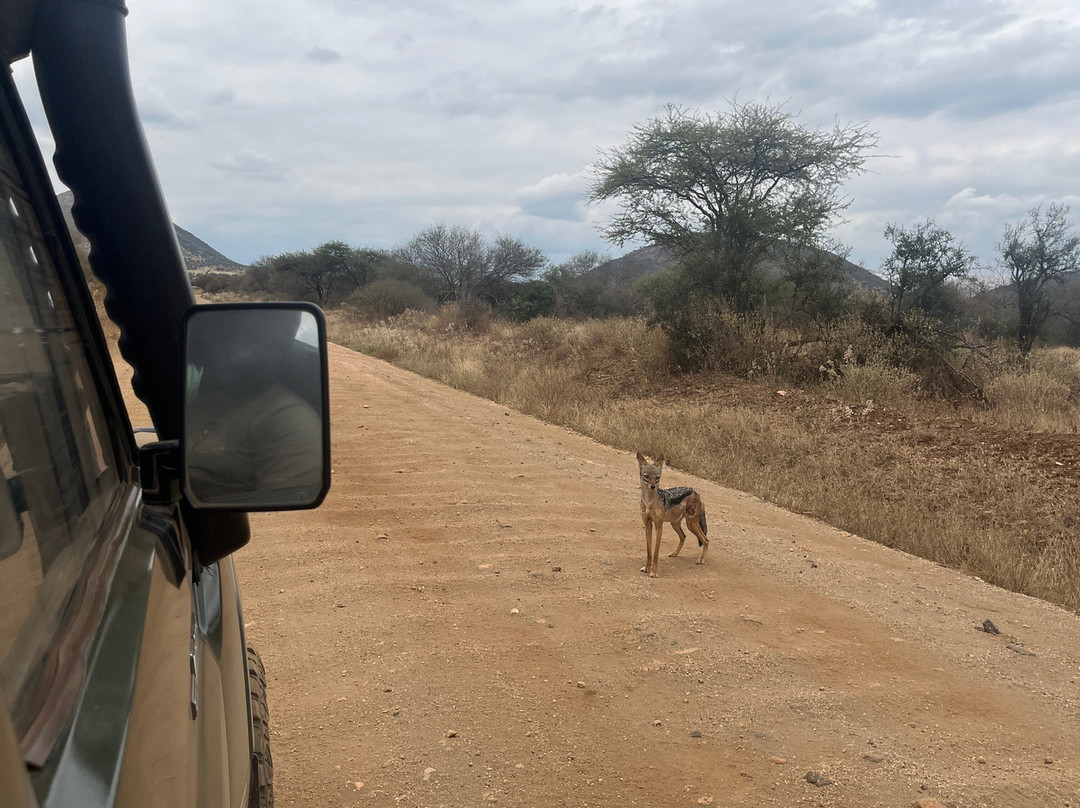 KLM Tours & Safaris-山祖必去景点