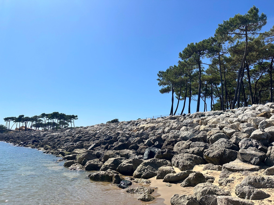 Plage de la Lede-La Palmyre-Les Mathes必去景点