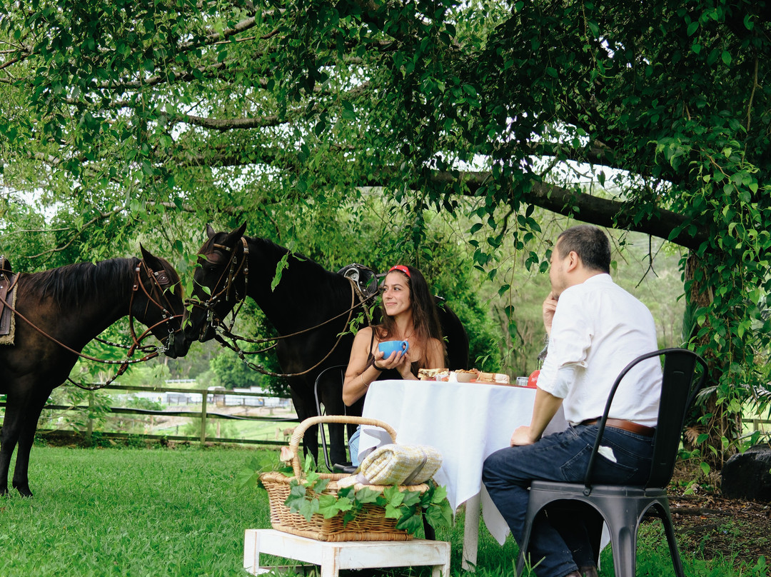Historic Rivermill-黄金海岸必去景点