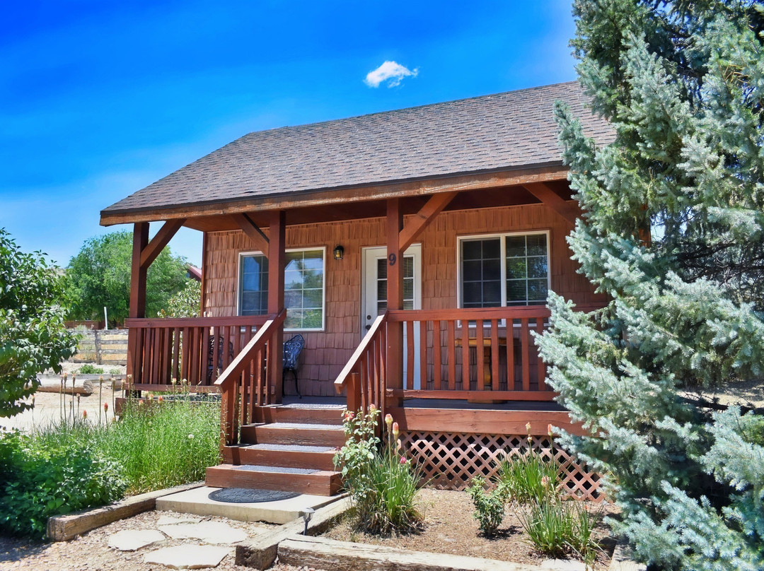 Arrowhead Country Cabins主图