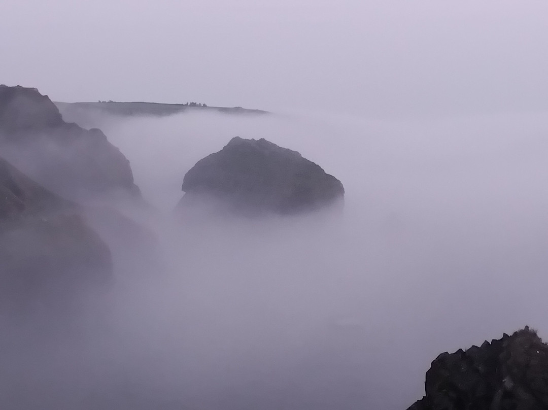 Mullion Cliffs National Nature Reserve-Mullion必去景点