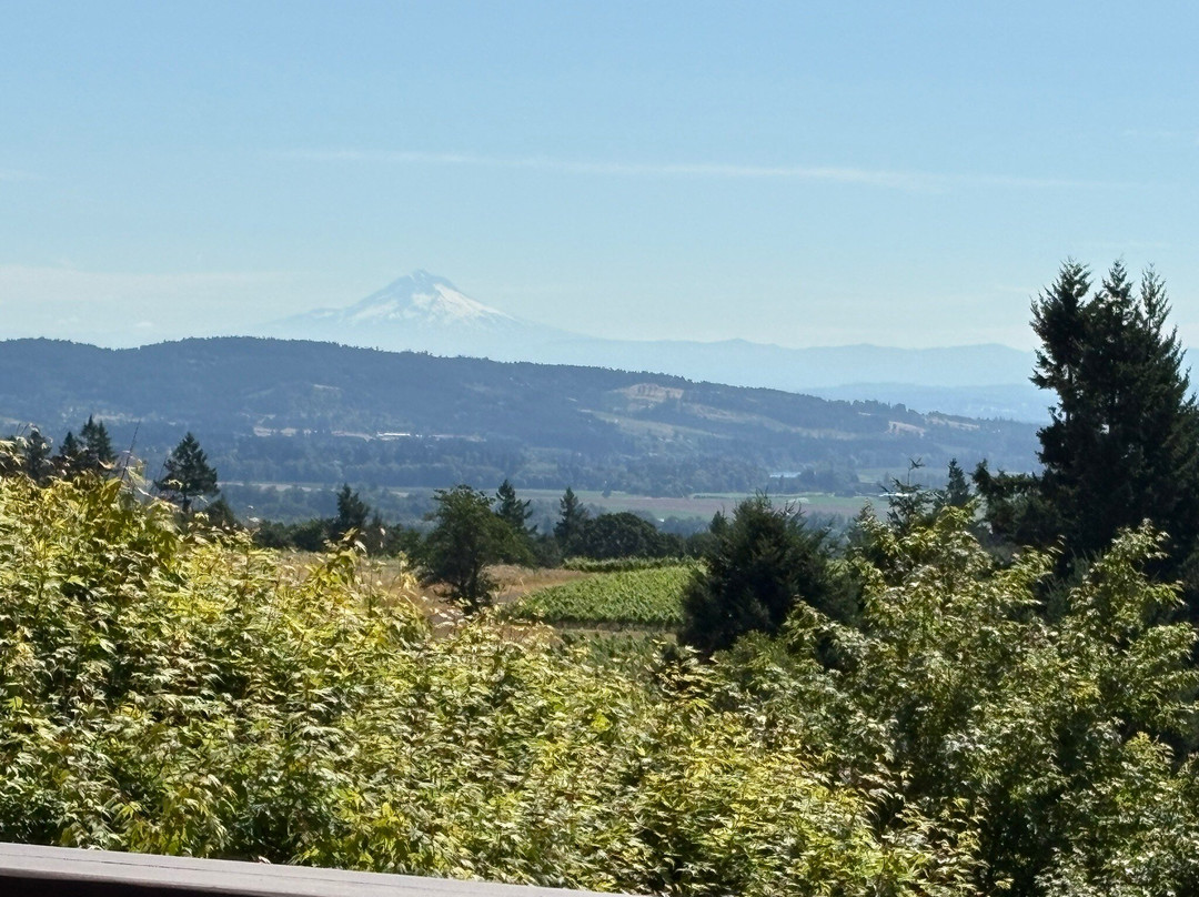 Domaine Drouhin Oregon-Dayton必去景点