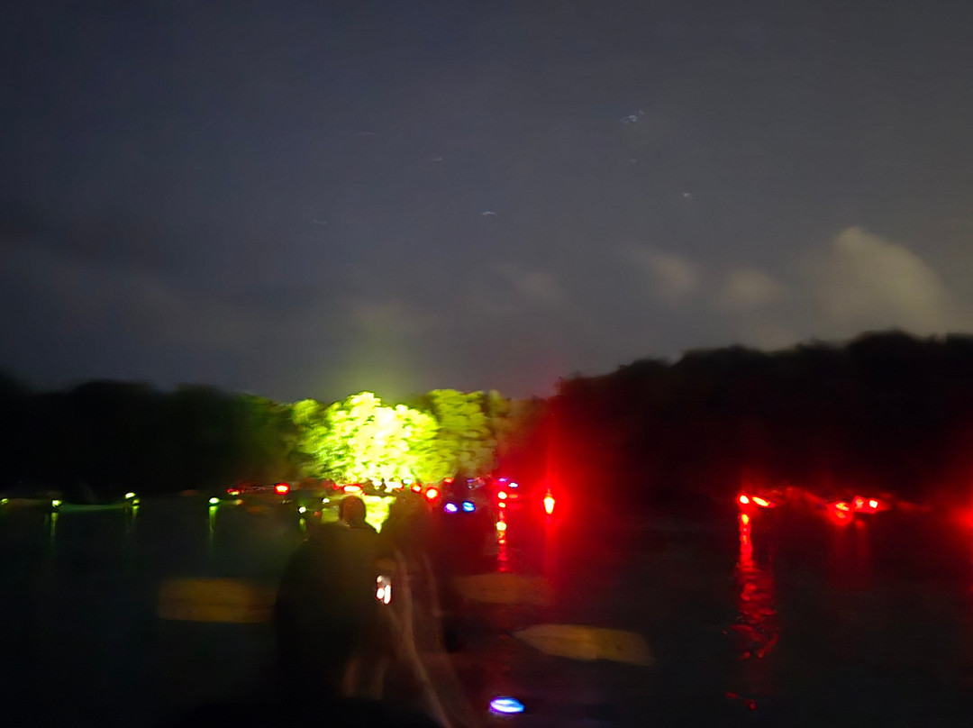 Puerto Rico Eco Tour-法哈多必去景点