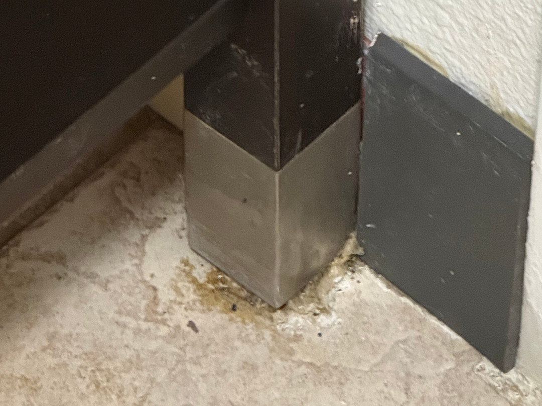 Drury Plaza Hotel Denver Central Park主图