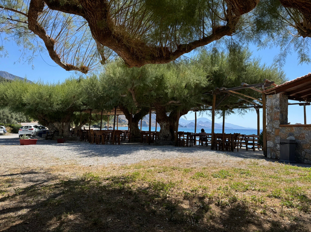 Nikos & Anna Rooms主图