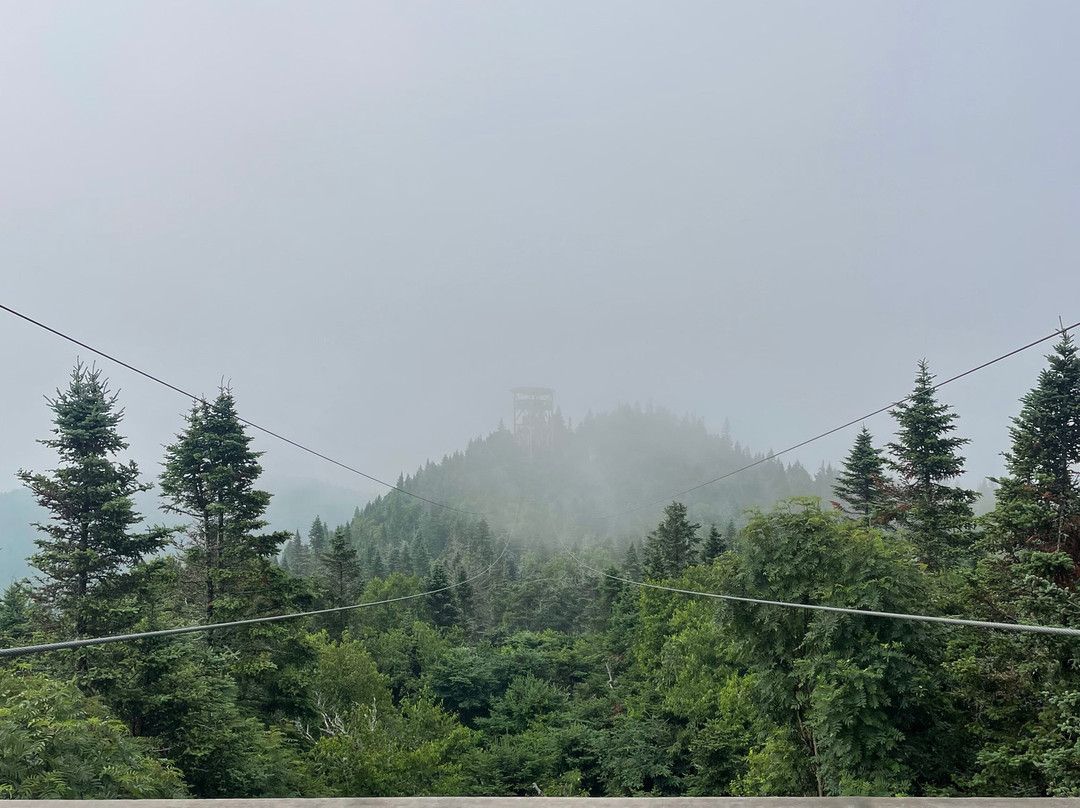 Ziptrek Ecotours-塔伯拉山必去景点