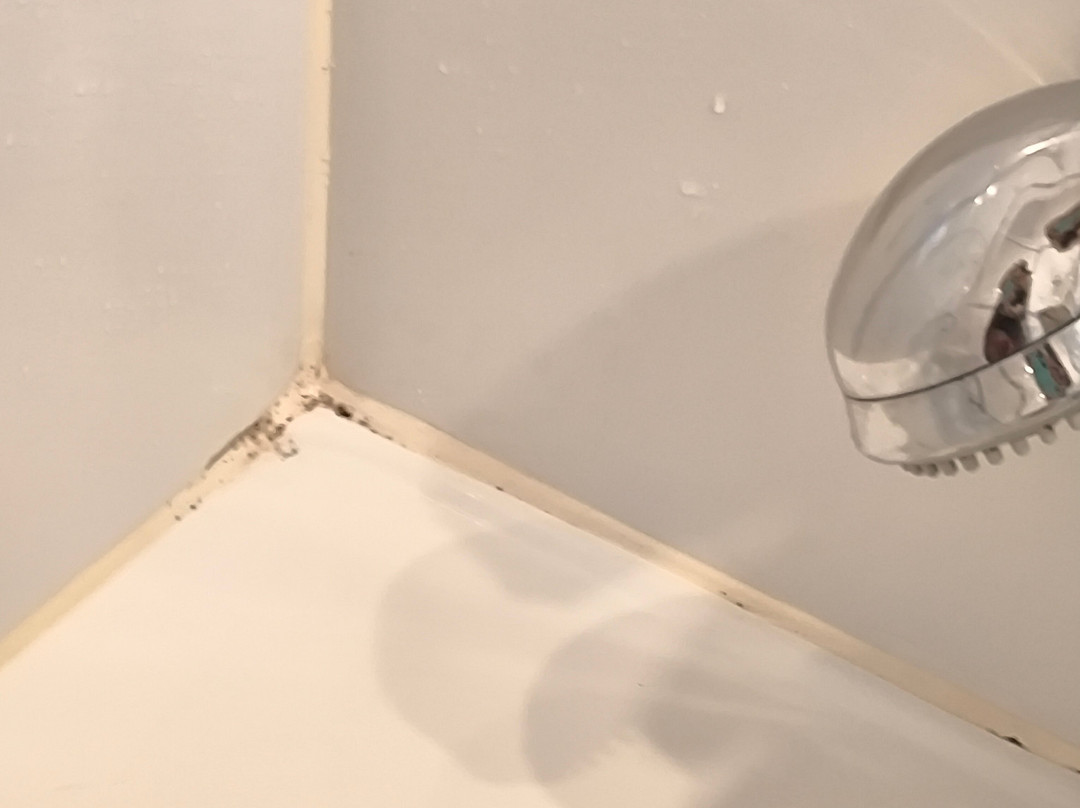 阿斯图里亚斯酒店主图