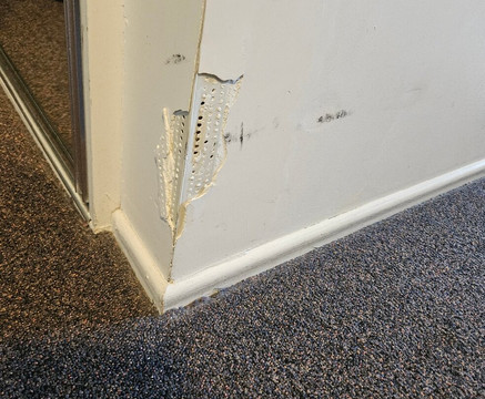 Palm View Holiday Apartments主图