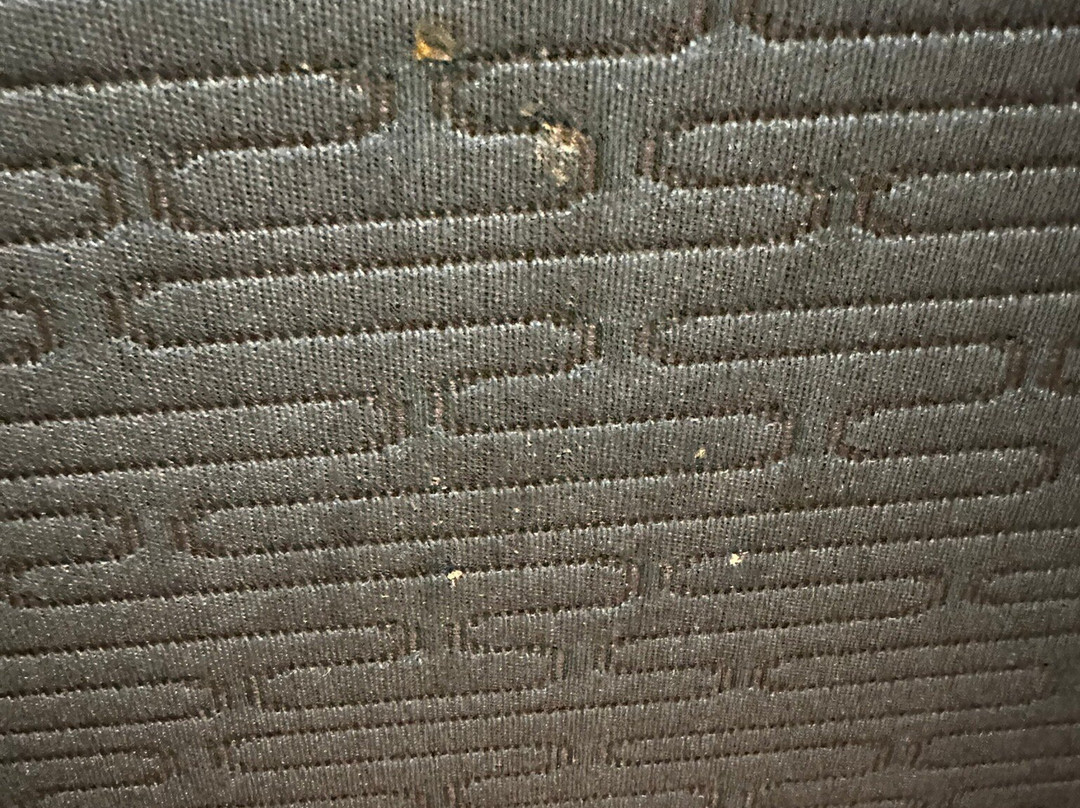 SpringHill Suites by Marriott Mobile主图