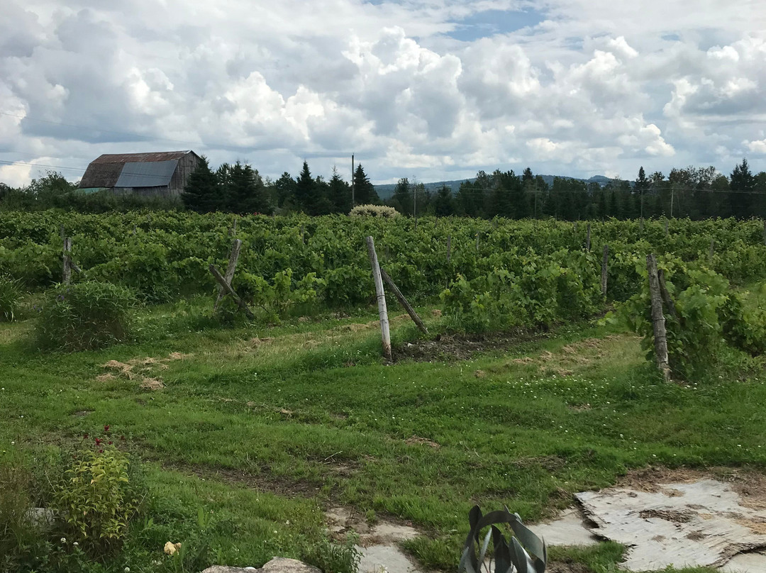 Vignoble Chemin De La Riviere-梅戈格必去景点