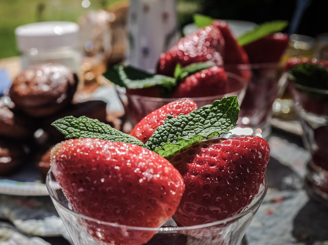 Leon酒店住宿-La Bergerie Saint Michel