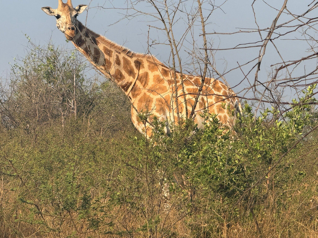 Hyena Hill Lodge主图