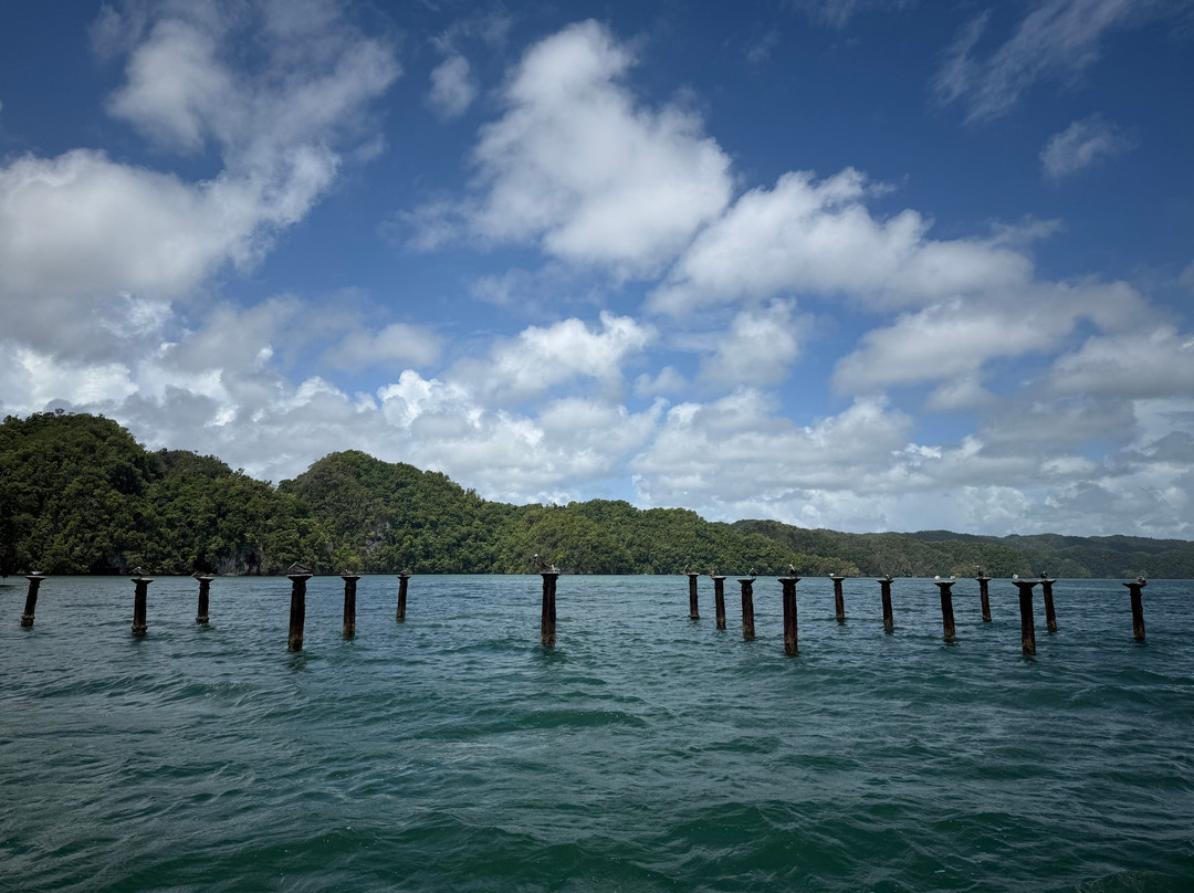 Cayenasam Travel and Tours-拉斯特拉纳斯必去景点