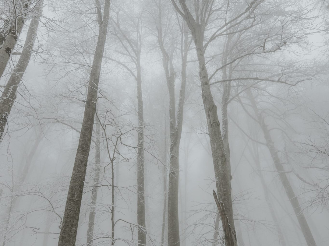 Ambil Lake-Guba-Khachmaz Region必去景点