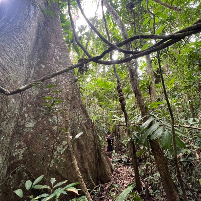 Acatupel-Lagunas必去景点