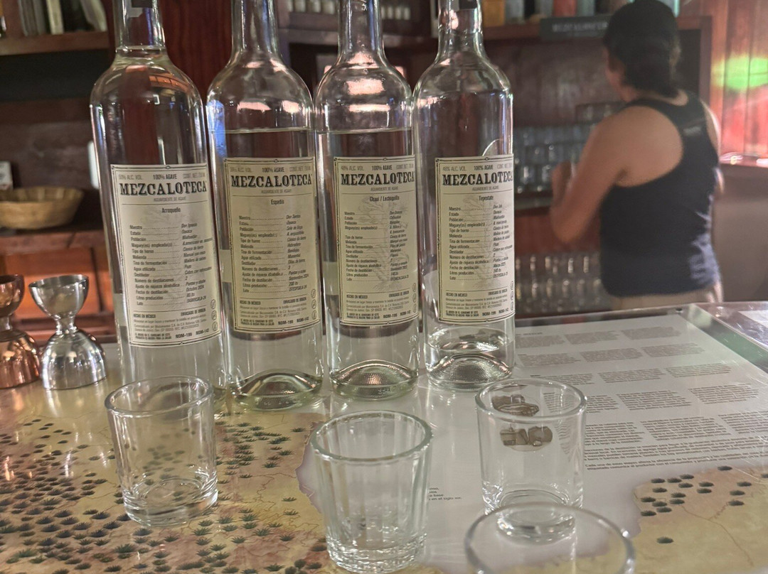 Mezcaloteca-瓦哈卡必去景点