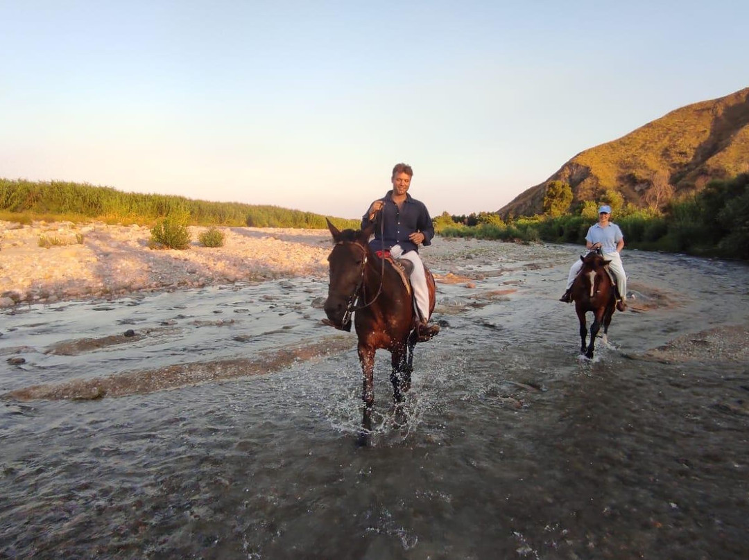 Sunshine Adventure Horses Power-陶尔米纳必去景点