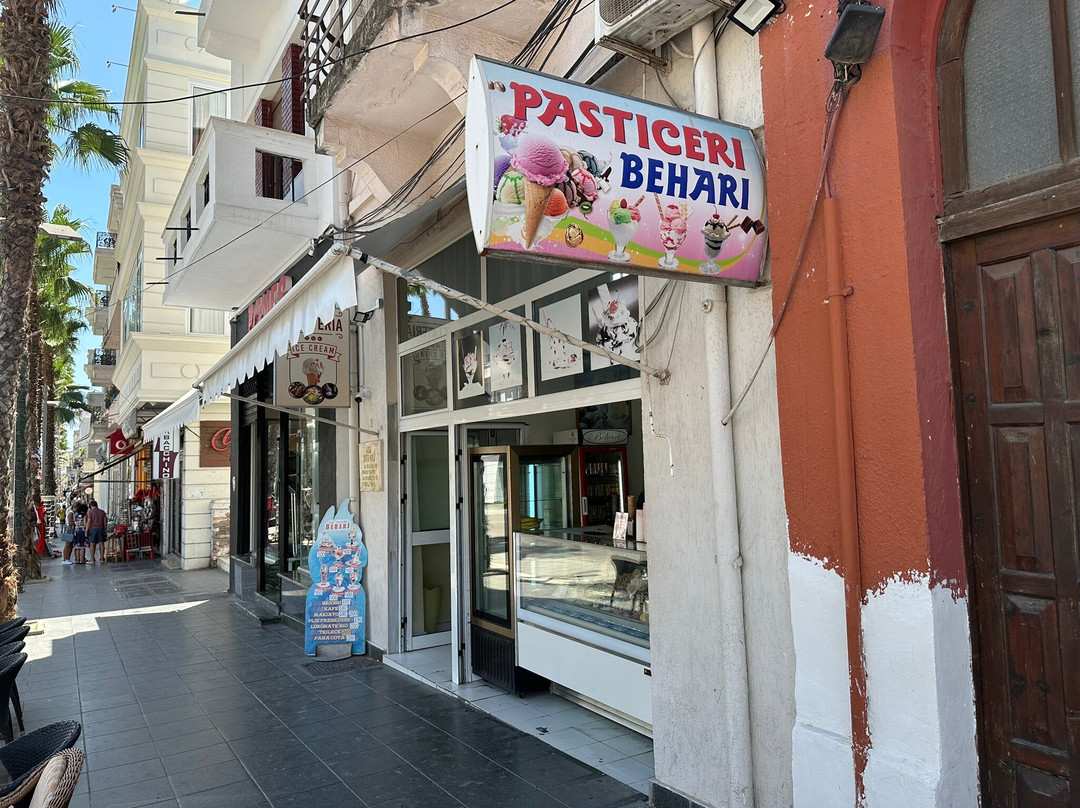 Promenade Park (Shëtitorja "Vollga")