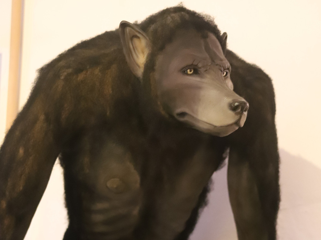 Musee et Parc Buffon-蒙巴尔必去景点