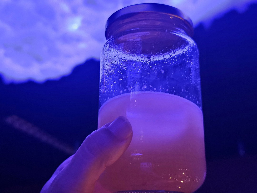 Elixer Room-海牙必去景点