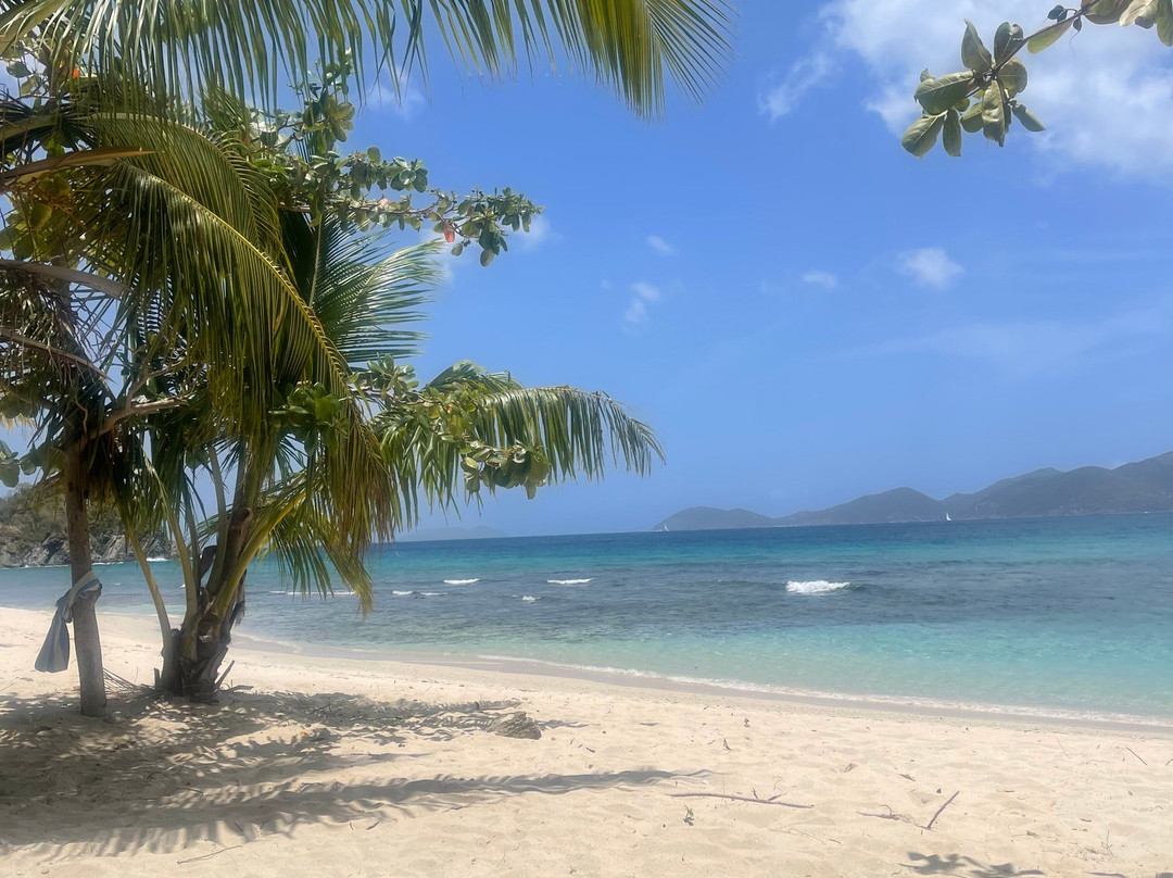 Smuggler's Cove-托土拉必去景点