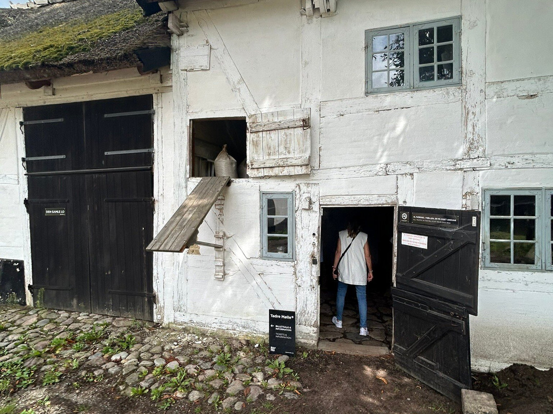 Tadre Molle-Hvalsoe必去景点