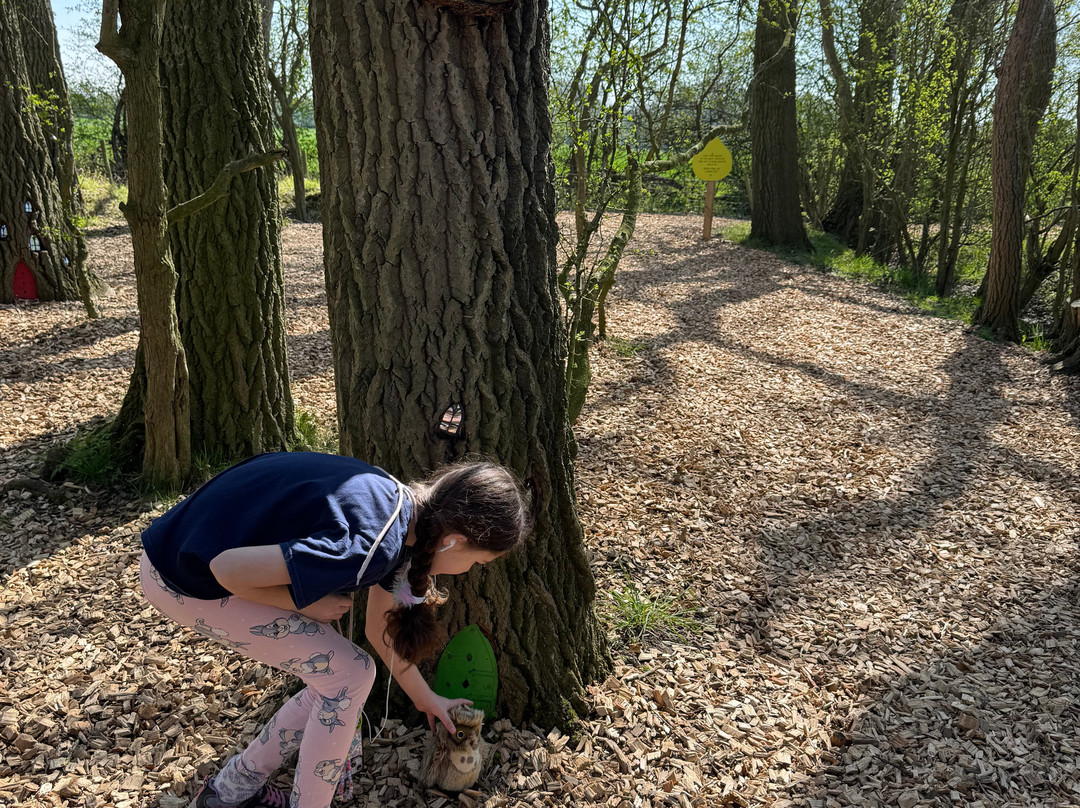 Piglets Adventure Farm-约克必去景点