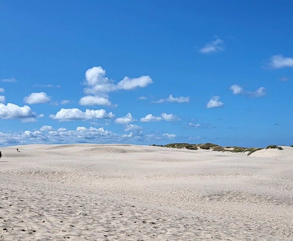 Råbjerg Mile-斯卡恩必去景点
