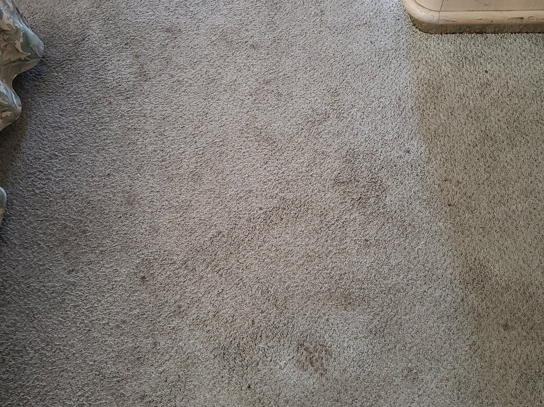 Badlands Motel主图