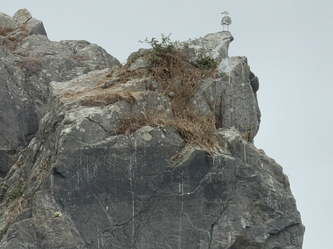Klamath River Jet Boat Tours-克拉马斯必去景点