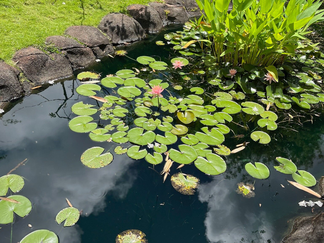 Kauai Mini Golf & Botanical Gardens-基拉韦厄必去景点