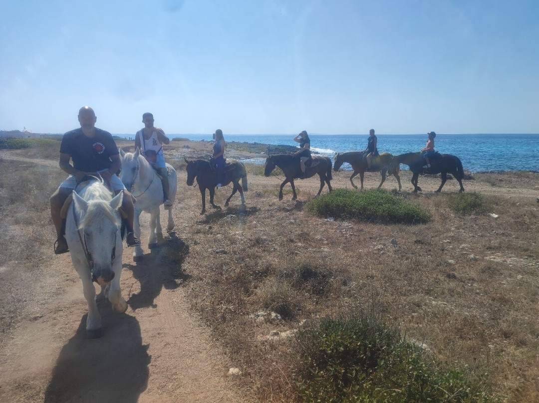 SalentoeSviluppo Servizi ed Escursioni-Martano必去景点