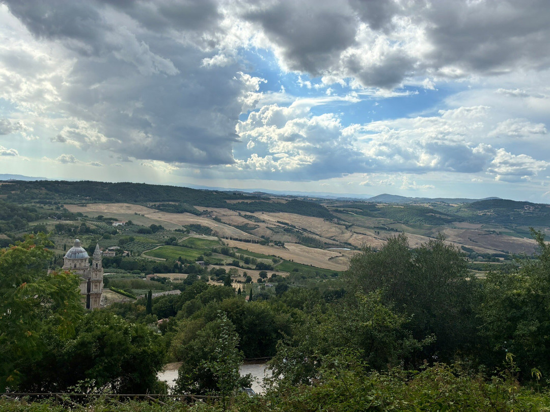 Gattavecchi Winery-蒙特普尔恰诺必去景点