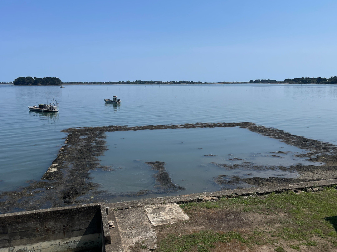 Randonnée Pédestre Sur L'ile Aux Moines-伊尔奥穆瓦内必去景点