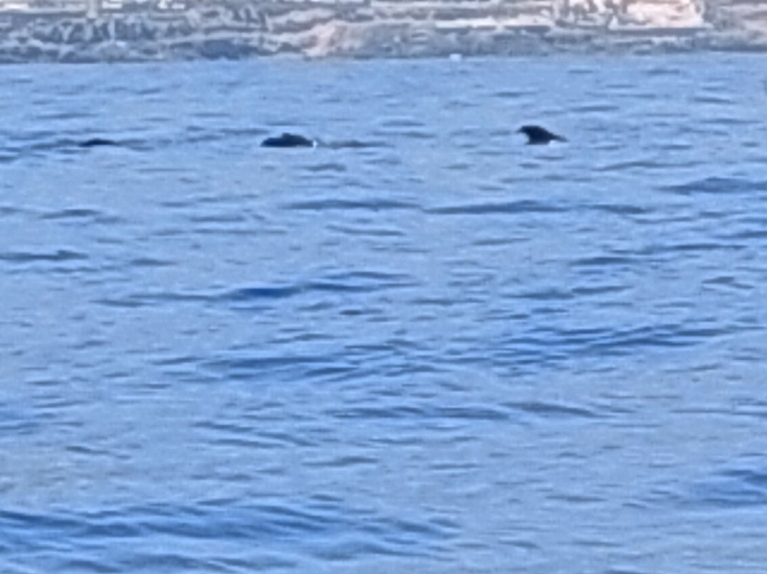 Los Rapidos-洛斯·吉甘特斯必去景点