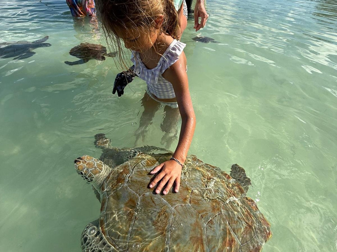 True Blue Charters | Spanish Wells Bahamas Guide-Spanish Wells必去景点