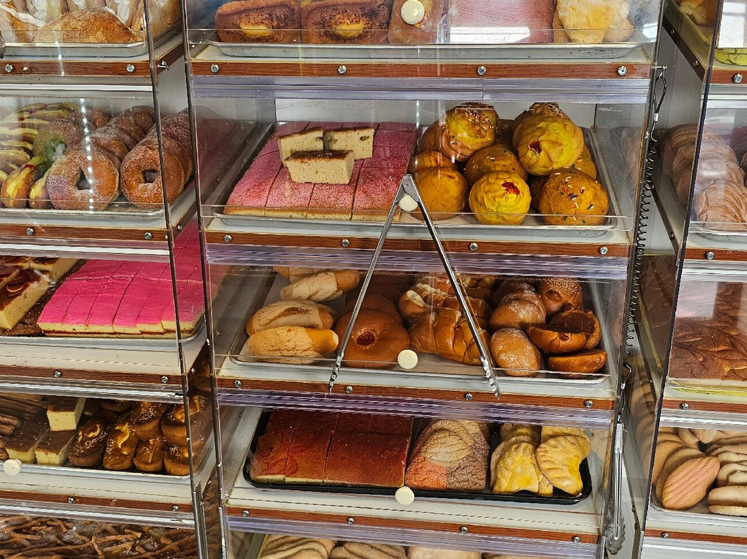 Tienda Latina Mary Ii