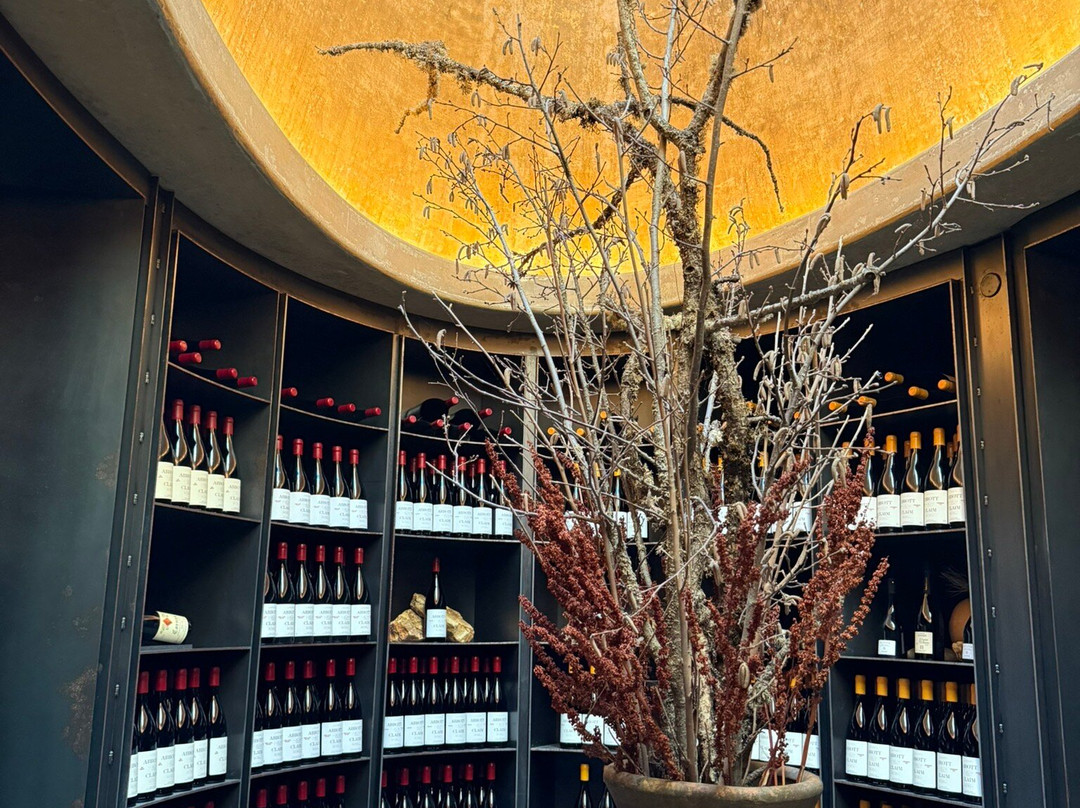 Abbott Claim-Carlton必去景点