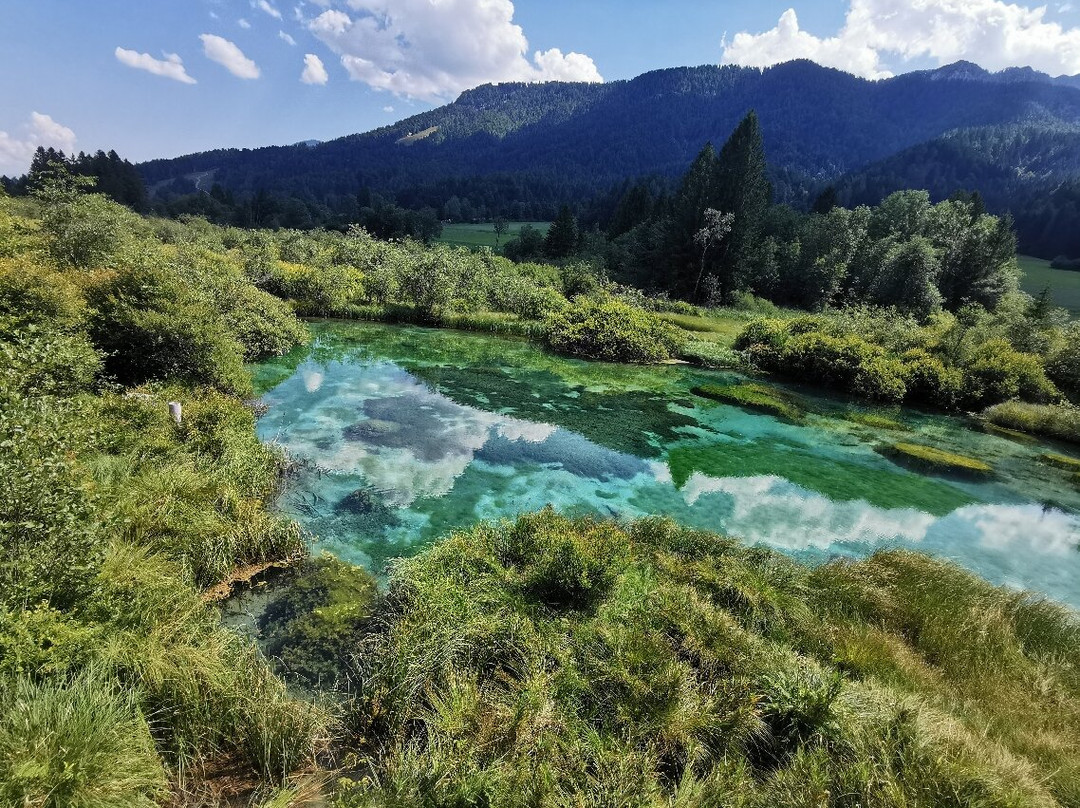 Zelenci Nature Reserve-Kranjska Gora必去景点