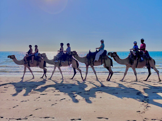 Darwin Camel Rides-达尔文市必去景点