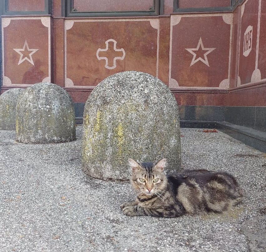 Chiesa di San Pietro-Pizzighettone必去景点