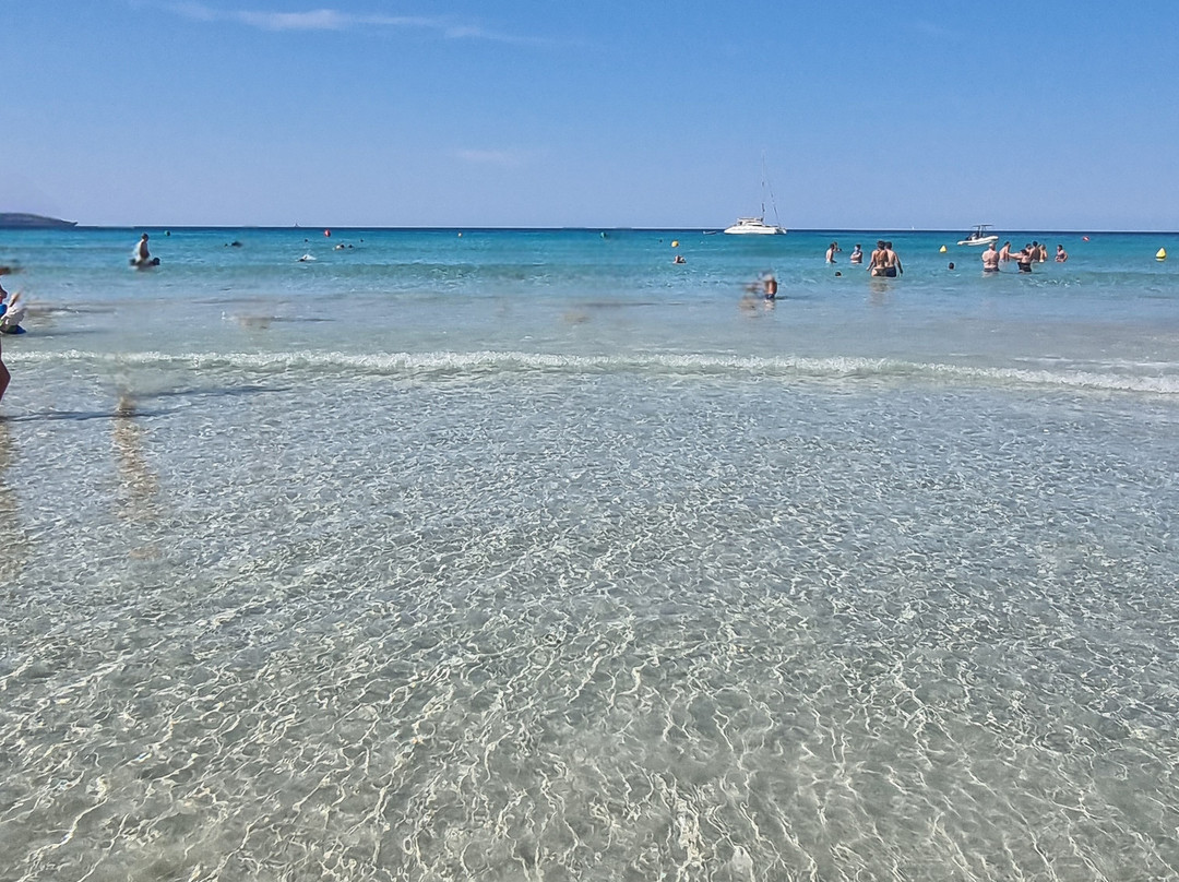 Playa de Son Bou-阿拉约尔必去景点