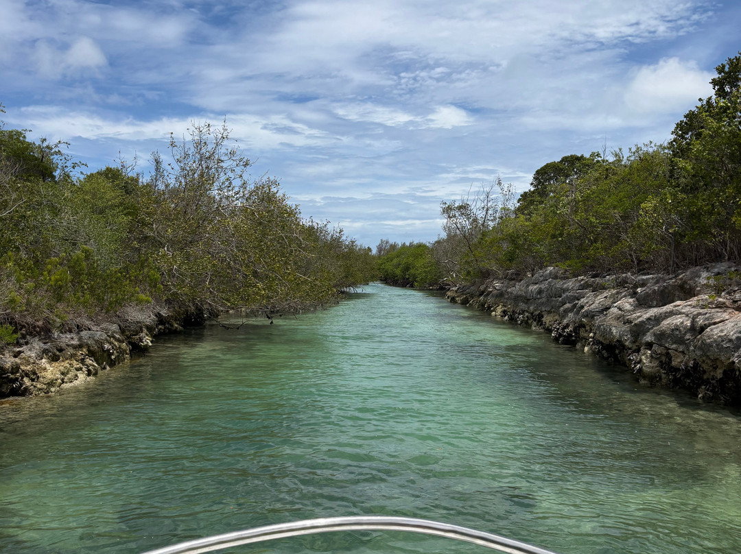 Eleuthera Outdoor Center-Tarpum Bay必去景点