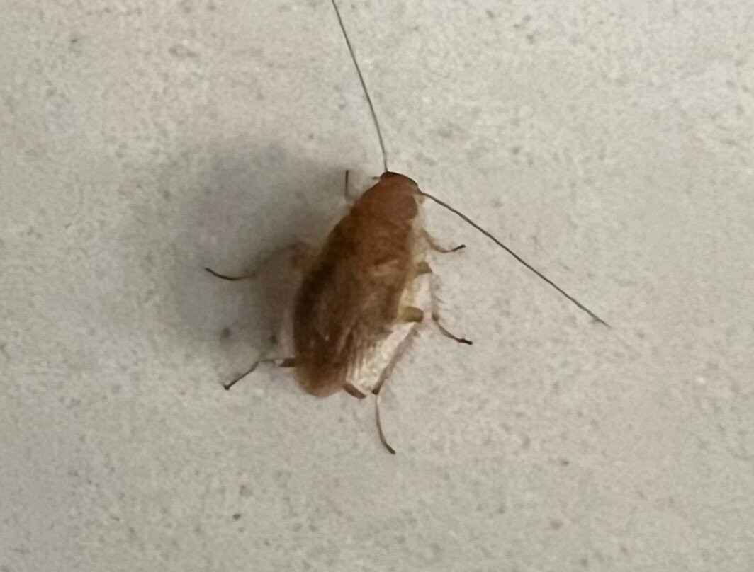 Grand Traverse Resort and Spa主图