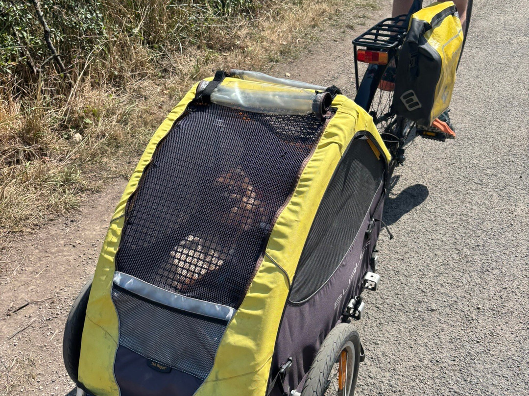 Camel Trail Cycle Hire-Wadebridge必去景点