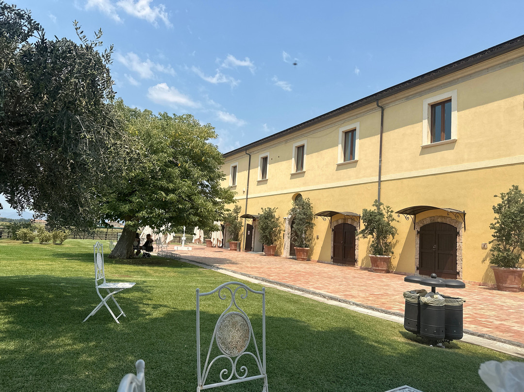 Tenuta Doria - Azienda Agricola Faunistica Venatoria-巴蒂帕利亚必去景点