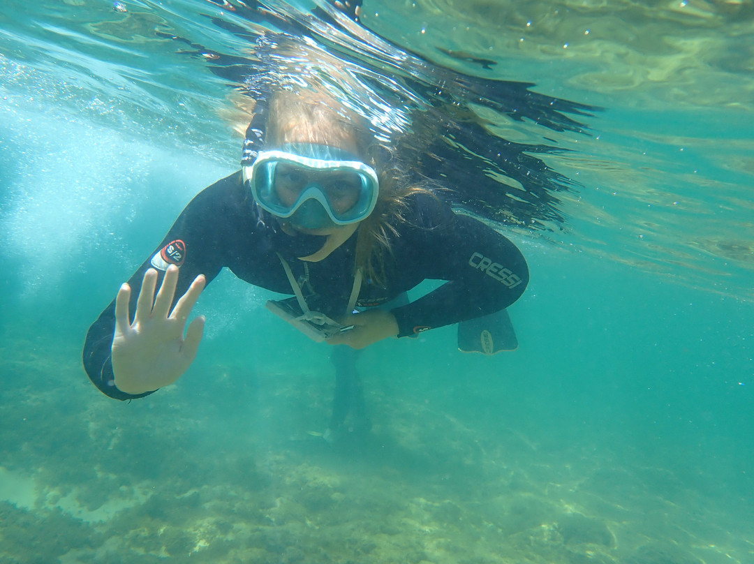 Zip & Trip-阿沃必去景点