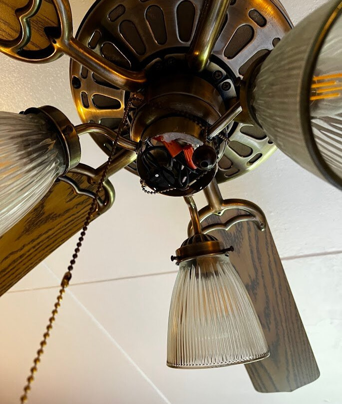 比格梅多斯旅馆主图