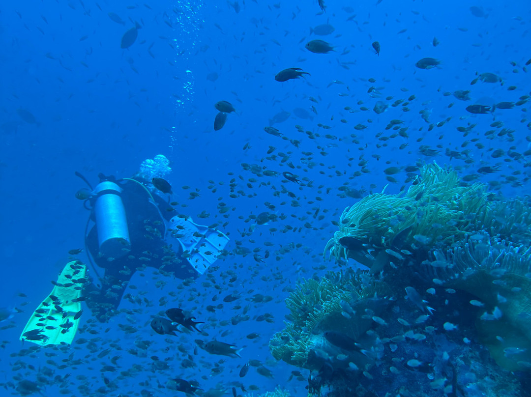 Jamahkiri Diving Club-涛岛必去景点