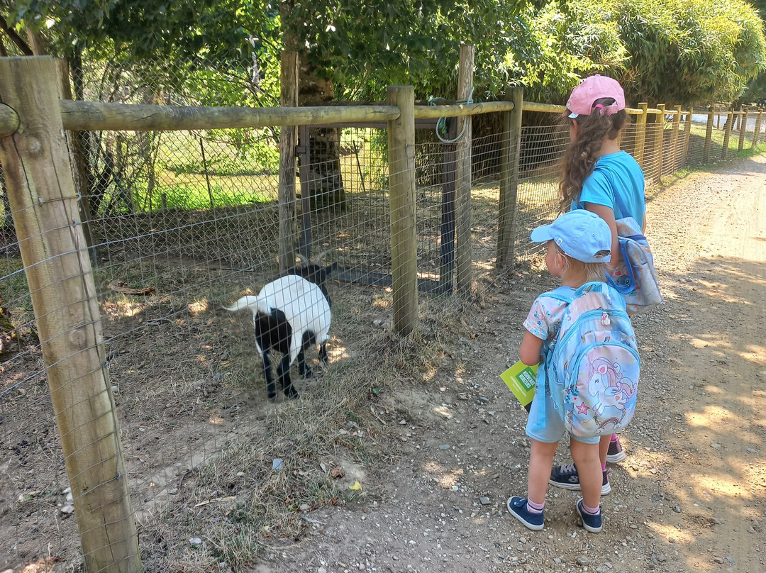 Parc Zoo du Reynou-Le Vigen必去景点